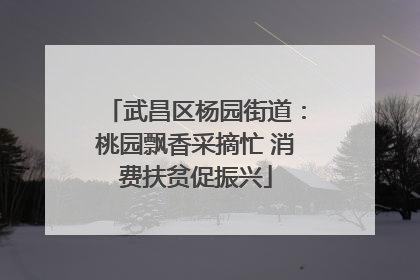 武昌区杨园街道：桃园飘香采摘忙 消费扶贫促振兴